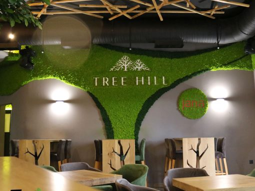 Tree Hill – Prelog
