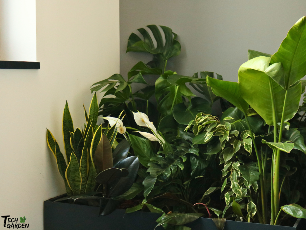 tech garden sobne biljke 1024x768 1